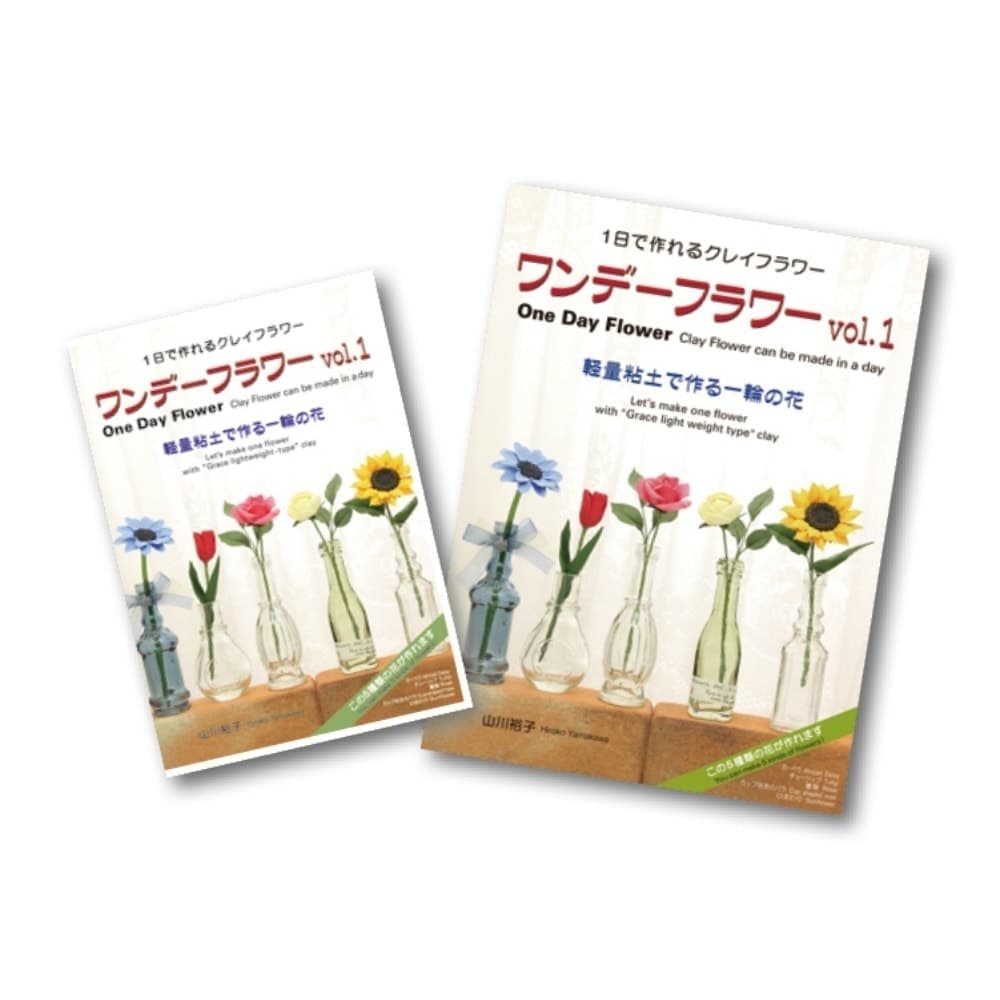 ワンデフラワーVol.1　書籍＆DVDセット