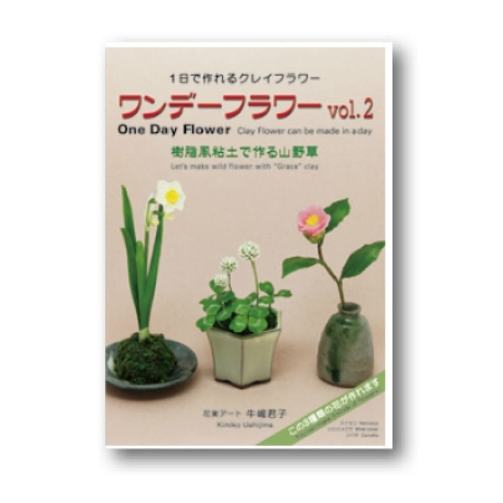 ワンデーフラワーvol.2DVD